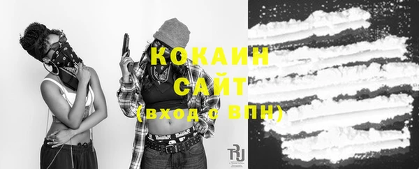 стафф Вязьма