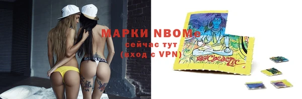 стафф Вязьма