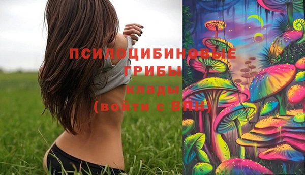 стафф Вязьма