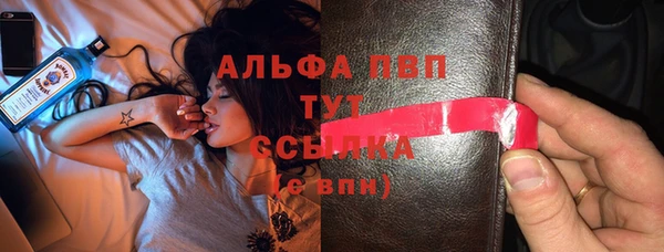стафф Вязьма