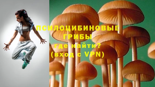 стафф Вязьма