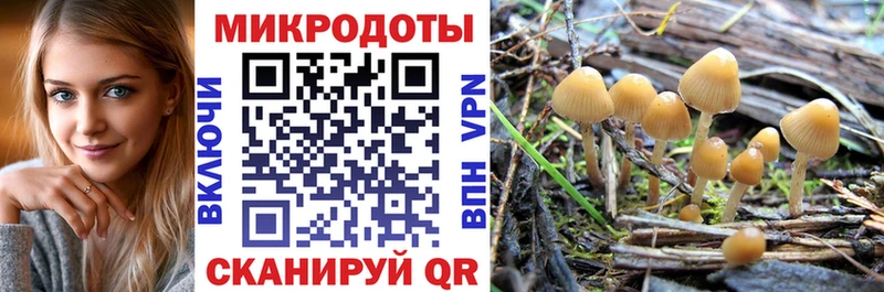Псилоцибиновые грибы ЛСД  Купить  Коркино 