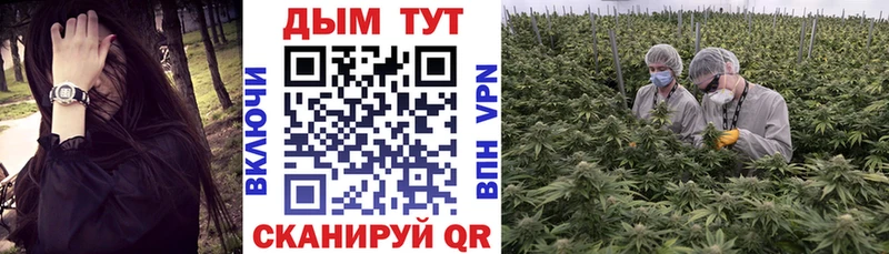Каннабис Bruce Banner  Купить  Коркино 